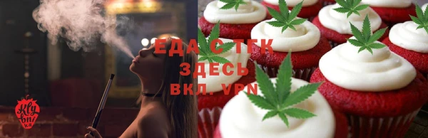 прущие грибы Бородино