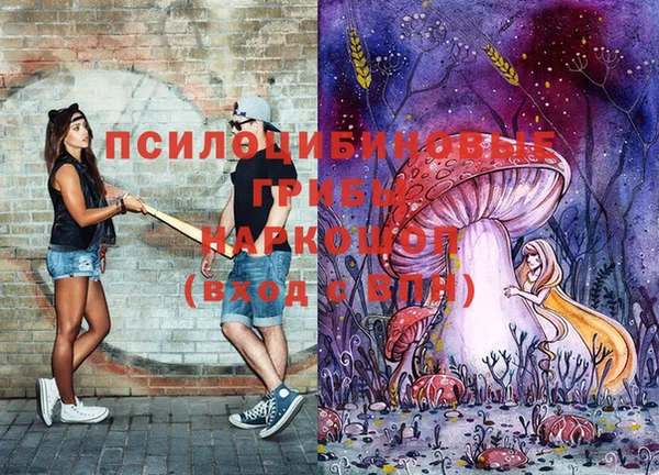 MESCALINE Верея