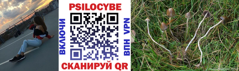 Купить закладки  Обь  Галлюциногенные грибы прущие грибы 